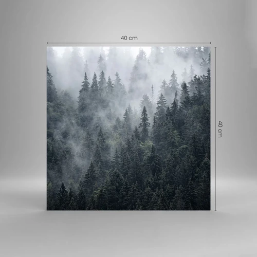 Obraz na szkle - Leśny świt - 40x40 cm