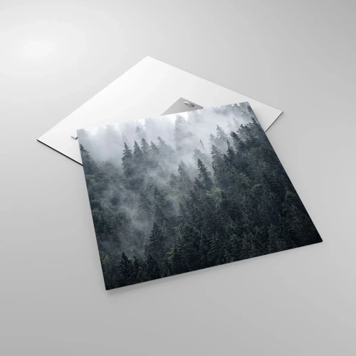 Obraz na szkle - Leśny świt - 50x50 cm