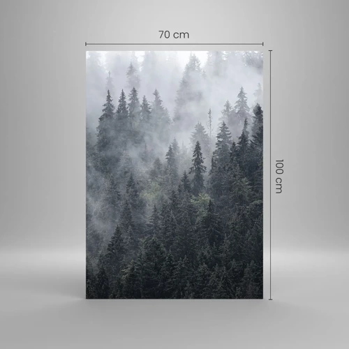 Obraz na szkle - Leśny świt - 70x100 cm