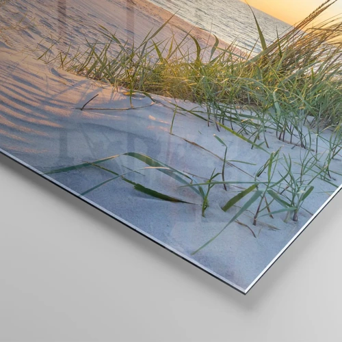 Obraz na szkle - Morza szum, ptaków śpiew, dzika plaża pośród traw… - 60x60 cm