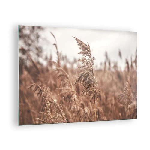 Obraz na szkle - Na polach już jesień - 70x50 cm