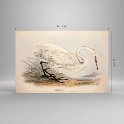 Obraz na szkle - Pani na szuwarach - 120x80 cm