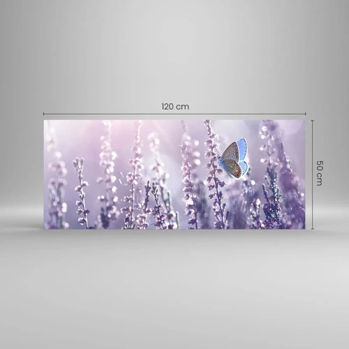Obraz na szkle - Pocałunek motyla - 120x50 cm