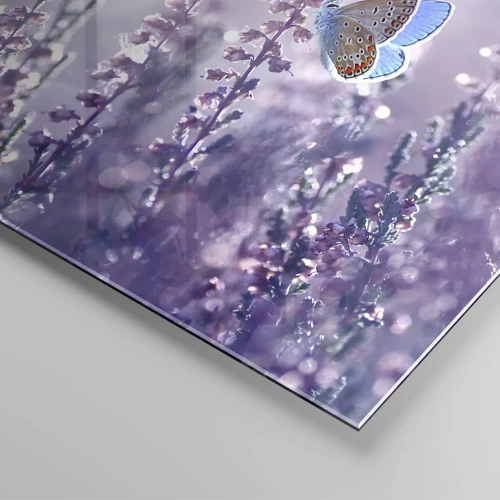 Obraz na szkle - Pocałunek motyla - 120x50 cm