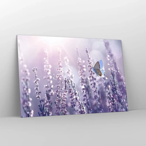 Obraz na szkle - Pocałunek motyla - 120x80 cm