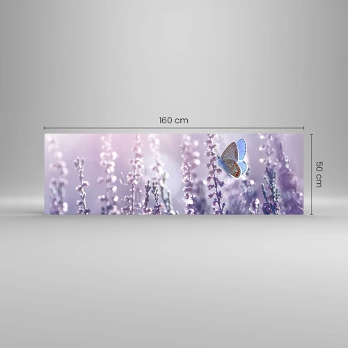 Obraz na szkle - Pocałunek motyla - 160x50 cm