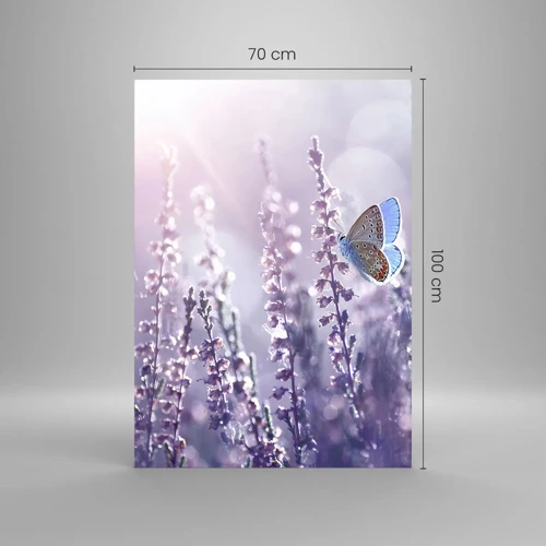 Obraz na szkle - Pocałunek motyla - 70x100 cm