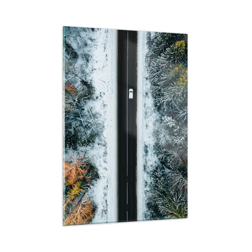 Obraz na szkle - Przeciąć zimowy las - 50x70 cm