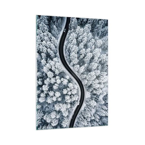 Obraz na szkle - Przez zimowy las - 50x70 cm