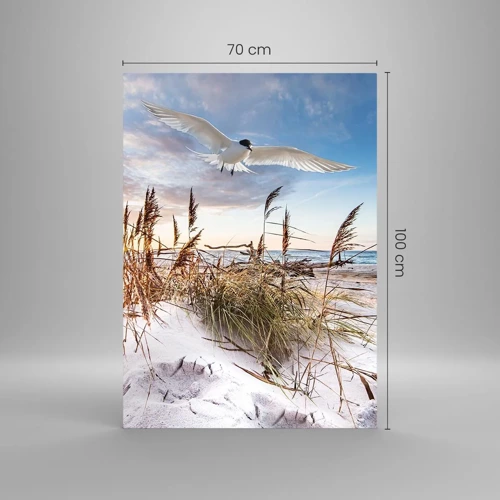 Obraz na szkle - Wiatr od morza - 70x100 cm