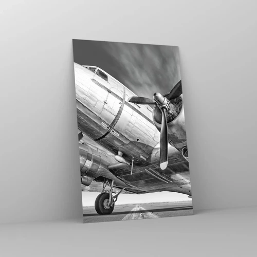 Obraz na szkle - Zawsze gotowy do lotu - 80x120 cm
