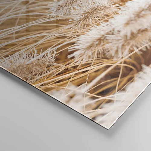 Obraz na szkle - Złoty szelest traw - 100x40 cm