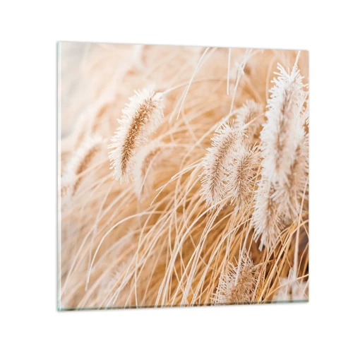 Obraz na szkle - Złoty szelest traw - 50x50 cm