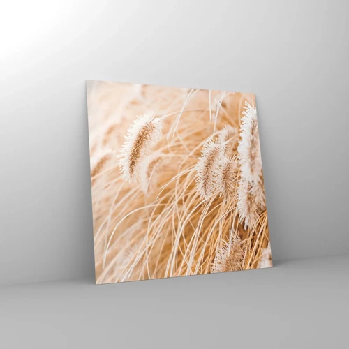 Obraz na szkle - Złoty szelest traw - 60x60 cm