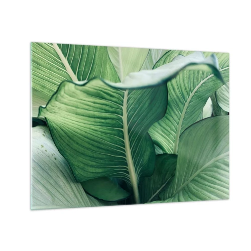 Obraz na szkle - Życie intensywnie zielone - 70x50 cm