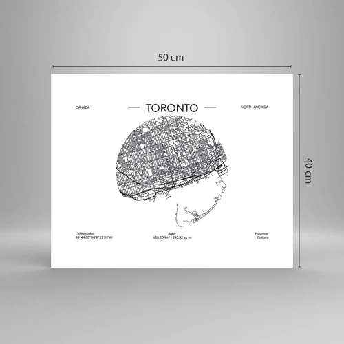 Plakat - Anatomia Toronto - 50x40 cm