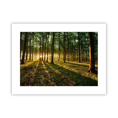 Plakat - Fotografia wszystkich wiosen - 40x30 cm