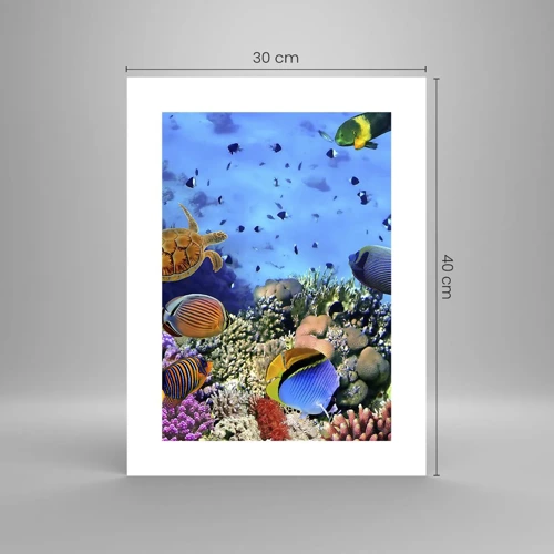 Plakat - I co my wiemy o życiu... - 30x40 cm