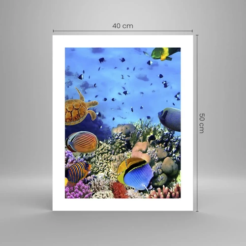 Plakat - I co my wiemy o życiu... - 40x50 cm