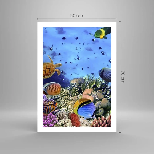 Plakat - I co my wiemy o życiu... - 50x70 cm