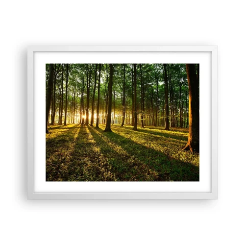 Plakat w białej ramie - Fotografia wszystkich wiosen - 50x40 cm