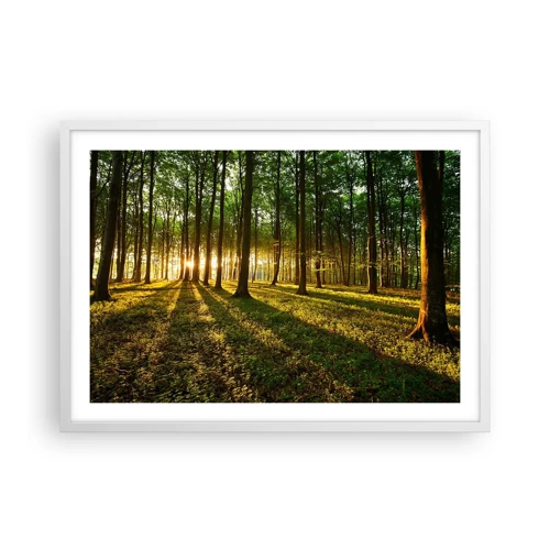 Plakat w białej ramie - Fotografia wszystkich wiosen - 70x50 cm