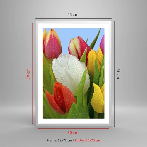 Plakat w białej ramie - Kwiatowa tęcza w kroplach rosy - 50x70 cm