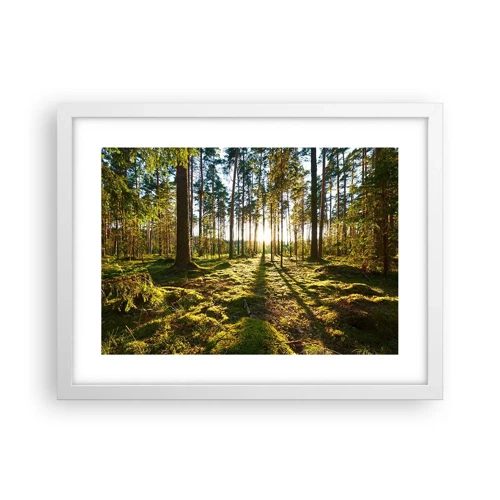 Plakat w białej ramie - …Za siedmioma lasami - 40x30 cm