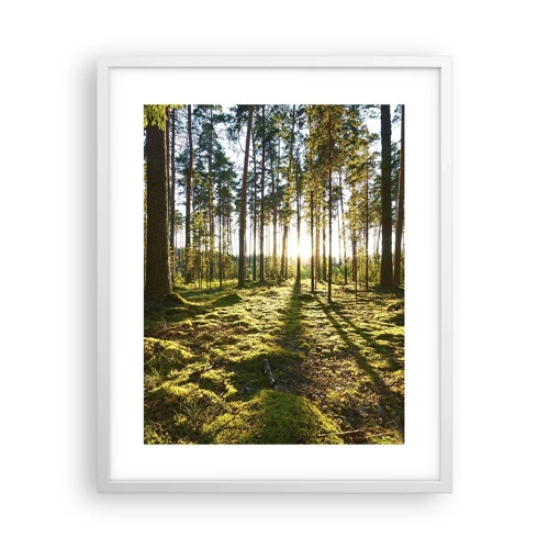 Plakat w białej ramie - …Za siedmioma lasami - 40x50 cm