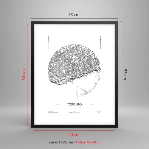 Plakat w czarnej ramie - Anatomia Toronto - 40x50 cm