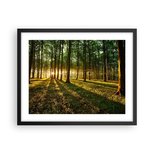 Plakat w czarnej ramie - Fotografia wszystkich wiosen - 50x40 cm