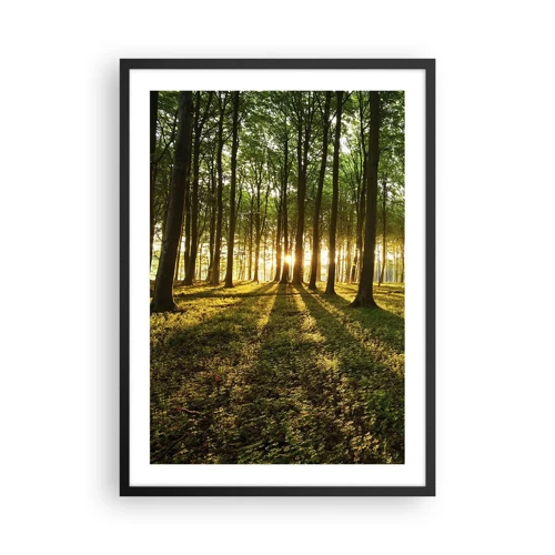 Plakat w czarnej ramie - Fotografia wszystkich wiosen - 50x70 cm