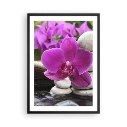 Plakat w czarnej ramie - Już odpoczywasz - Fioletowa orchidea na tle kamieni w harmonijnym ułożeniu - 50x70cm