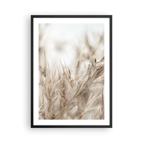 Plakat w czarnej ramie - Łąka i wiatr - Delikatne kłosy traw w beżach - 50x70cm