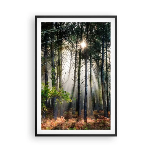 Plakat w czarnej ramie - Leśne uroczysko - 61x91 cm