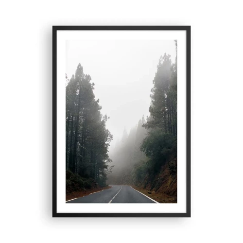 Plakat w czarnej ramie - Opowieść magicznego lasu - 50x70 cm