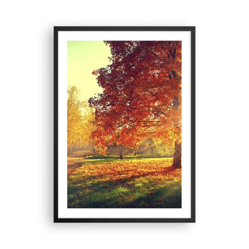 Plakat w czarnej ramie - Rude jest piękne - Jesienny park z drzewem o złotych liściach w słońcu - 50x70cm