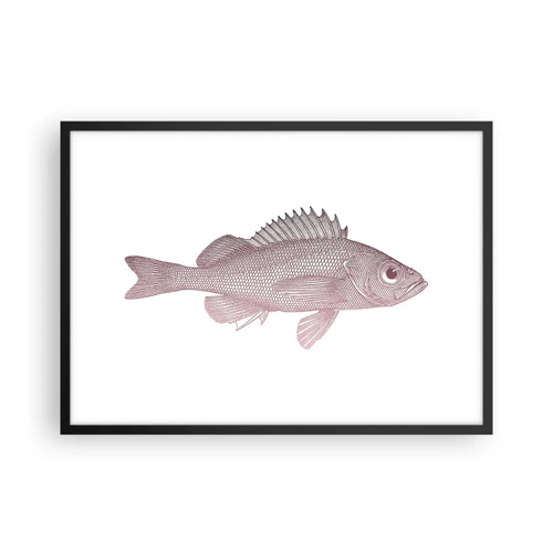 Plakat w czarnej ramie - Ryba wielkooka - 70x50 cm