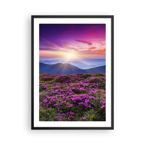 Plakat w czarnej ramie - Ziół zapachniały świeże pęki od niw - 50x70 cm