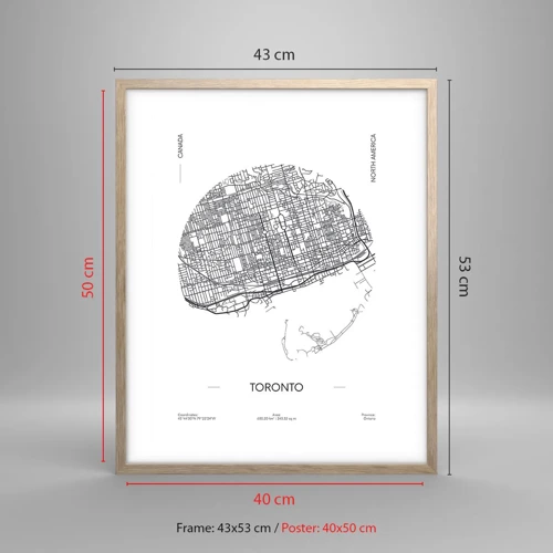 Plakat w ramie jasny dąb - Anatomia Toronto - 40x50 cm