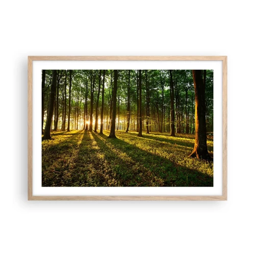 Plakat w ramie jasny dąb - Fotografia wszystkich wiosen - 70x50 cm