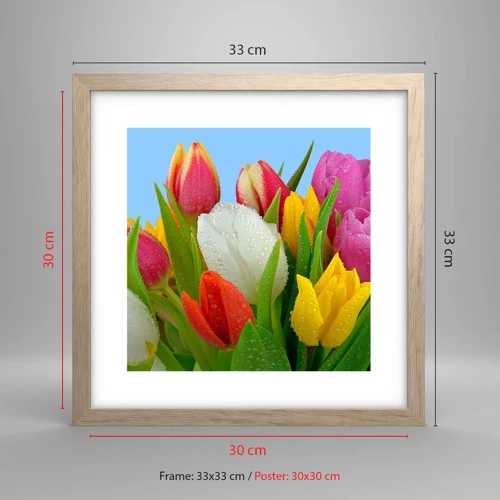 Plakat w ramie jasny dąb - Kwiatowa tęcza w kroplach rosy - 30x30 cm