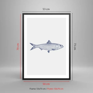 Plakat w czarnej ramie - Pozdrowienia z północnych mórz - Minimalistyczna ilustracja ryby w stylu vintage - 50x70cm